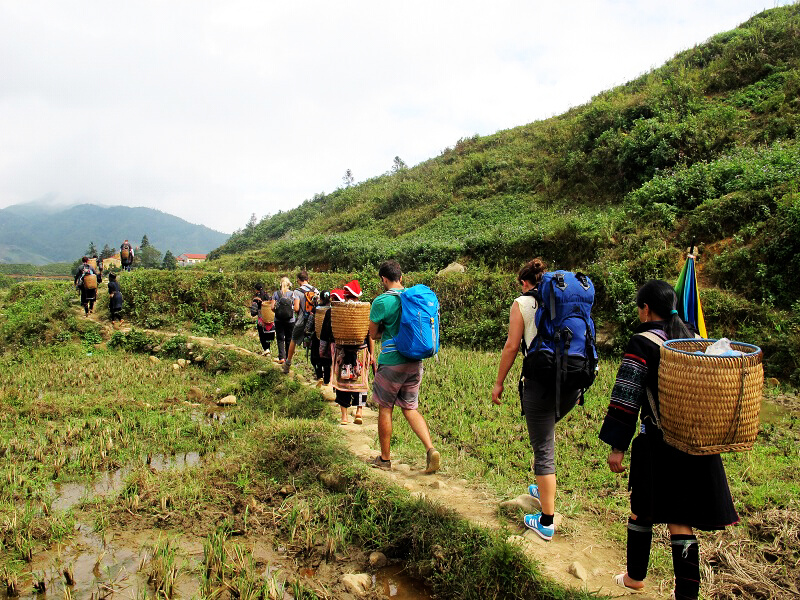 SAPA TREKKING TOUR 03 DAYS 02 NIGHTS WITH LUXURY LIMOUSINE VAN (HOTEL/HOMESTAY)