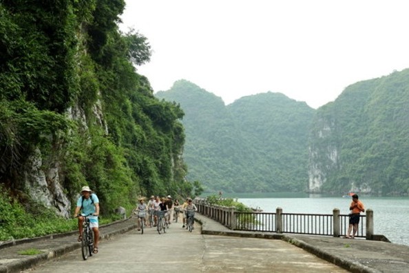 PREMIUM 1 DAY - CAT BA CRUISE