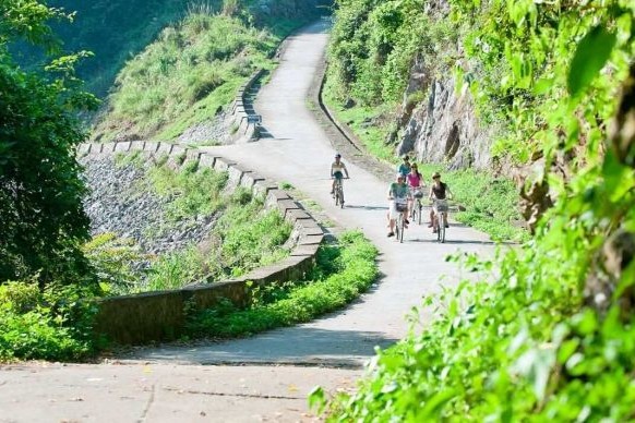 PREMIUM 1 DAY - CAT BA CRUISE