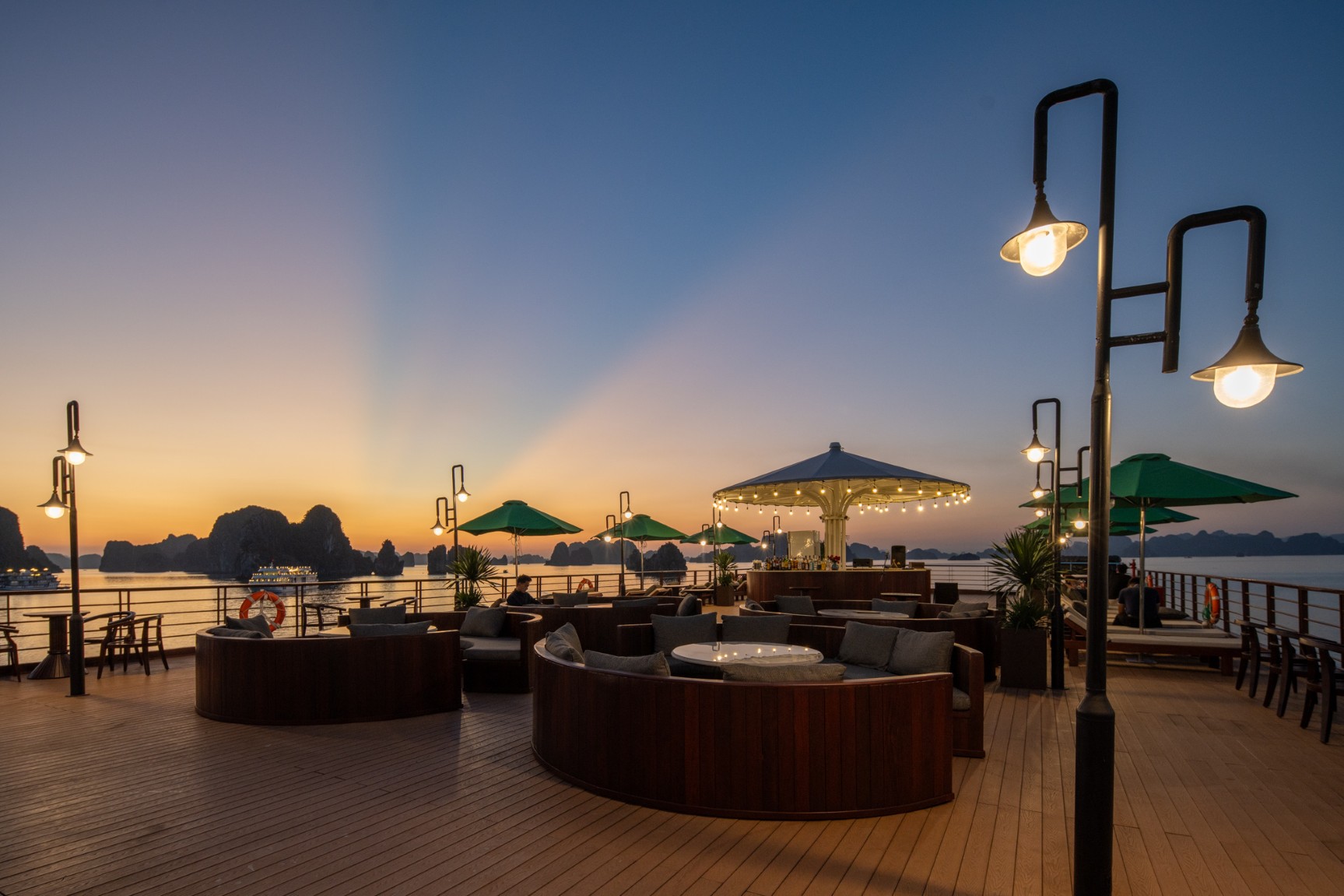 CYCAD CRUISE - NEW LAUNCHED FROM 2025