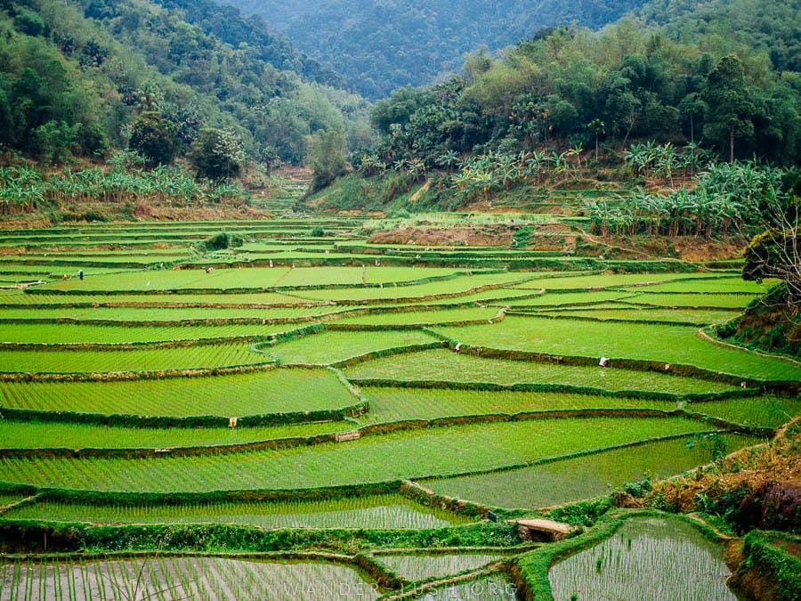3 DAYS 2 NIGHTS CLASSIC EASY RIDER PU LUONG